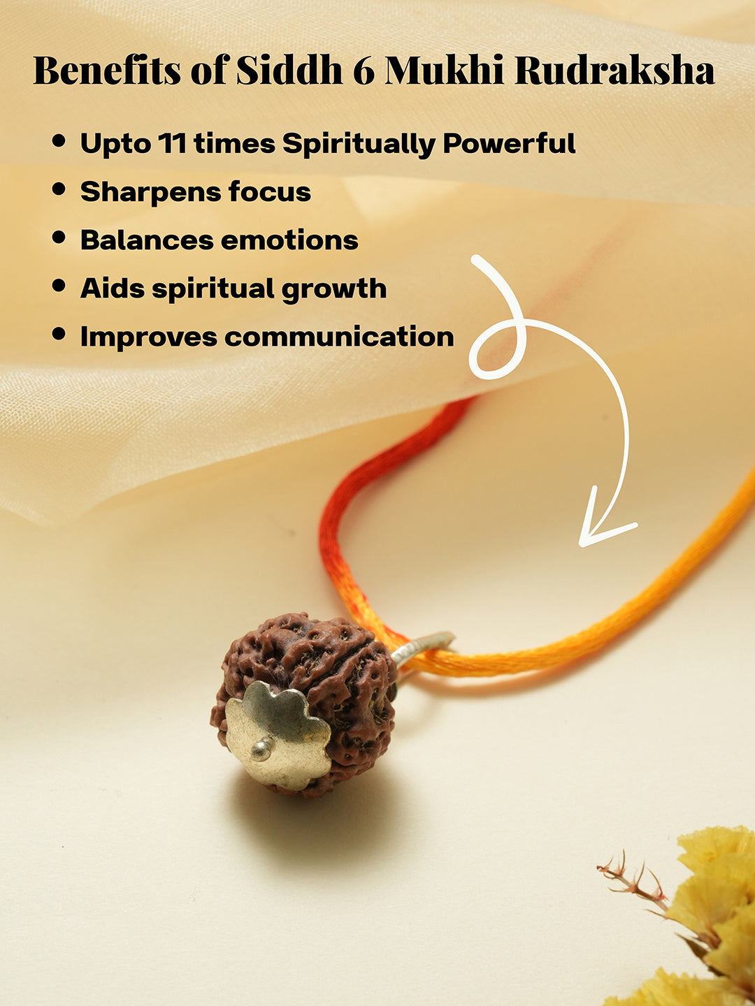 Natural 6 Mukhi Faces Rudraksh With Certificate  In Red Thread Pendant Necklace & Chain